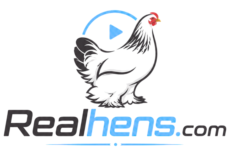 RealHens.com